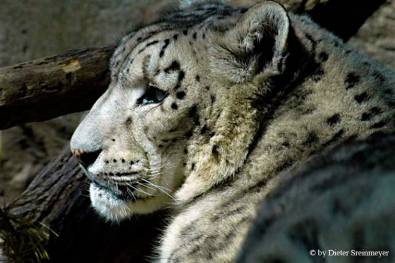  DSC8673 